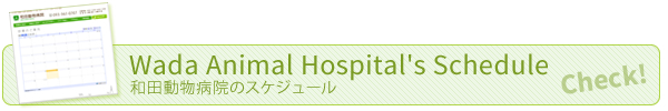 和田動物病院のスケジュール