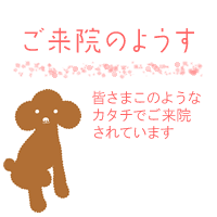 @̂悤