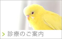 fÂ̂ē