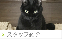 X^btЉ