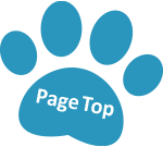 Page Top