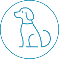 犬
