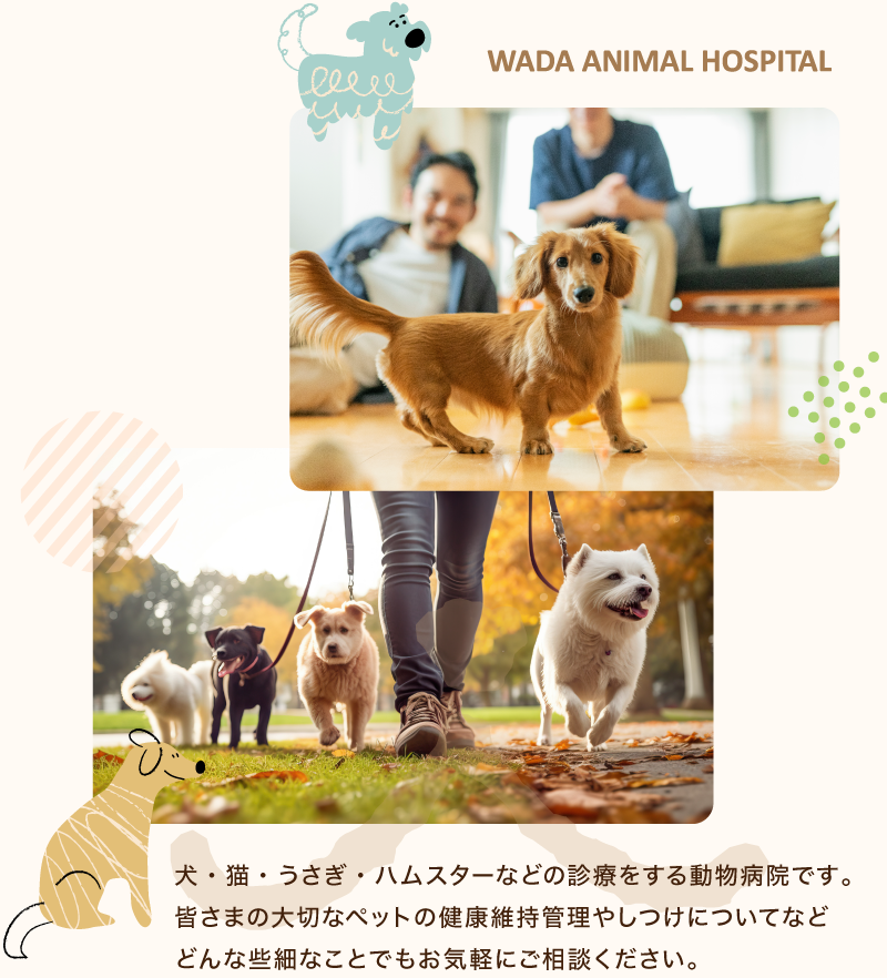スマホ画像1